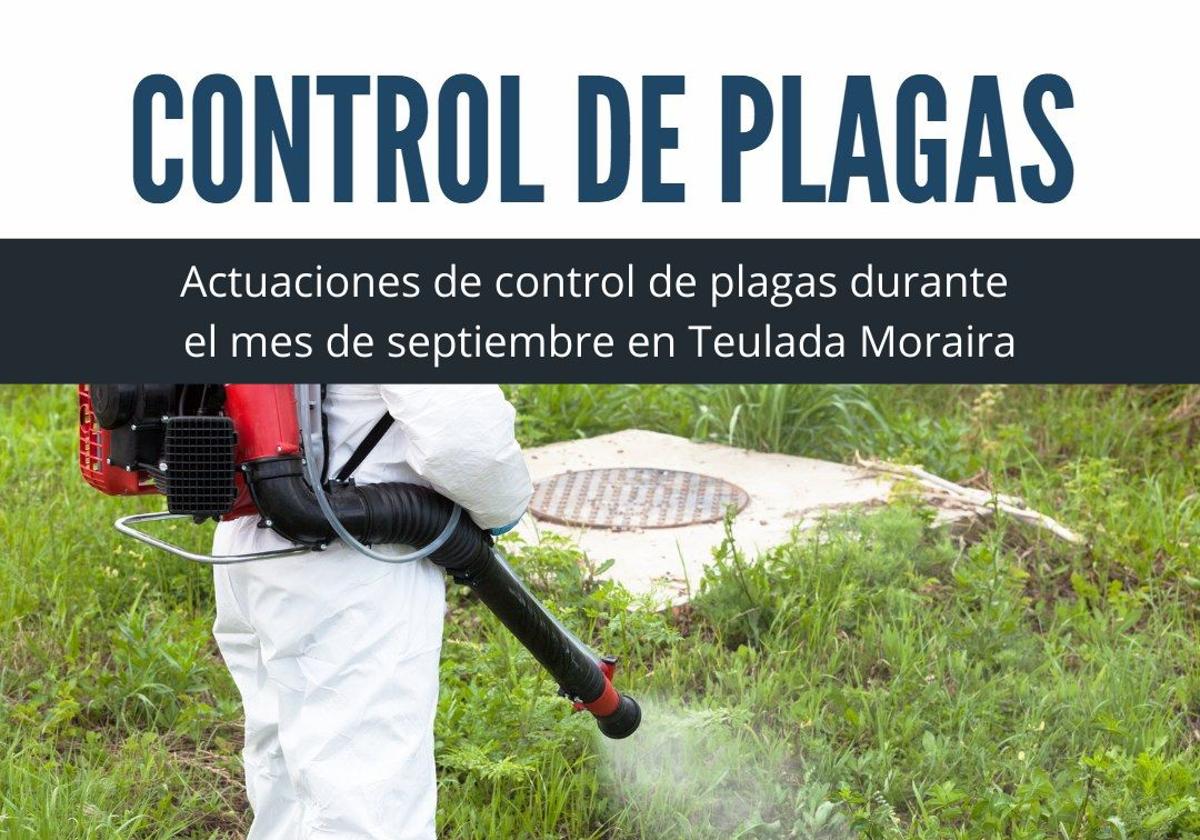 Teulada-Moraira anuncia un control de plagas en septiembre