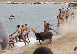 Imagen del 'bous a la mar' de Xàbia de este sábado, 31 de agosto.