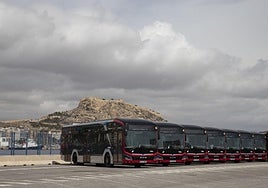 Flota de autobuses híbridos de Alicante, en el puerto.