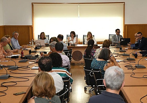 Consejo de Gobierno extraordinario de la UA este martes.