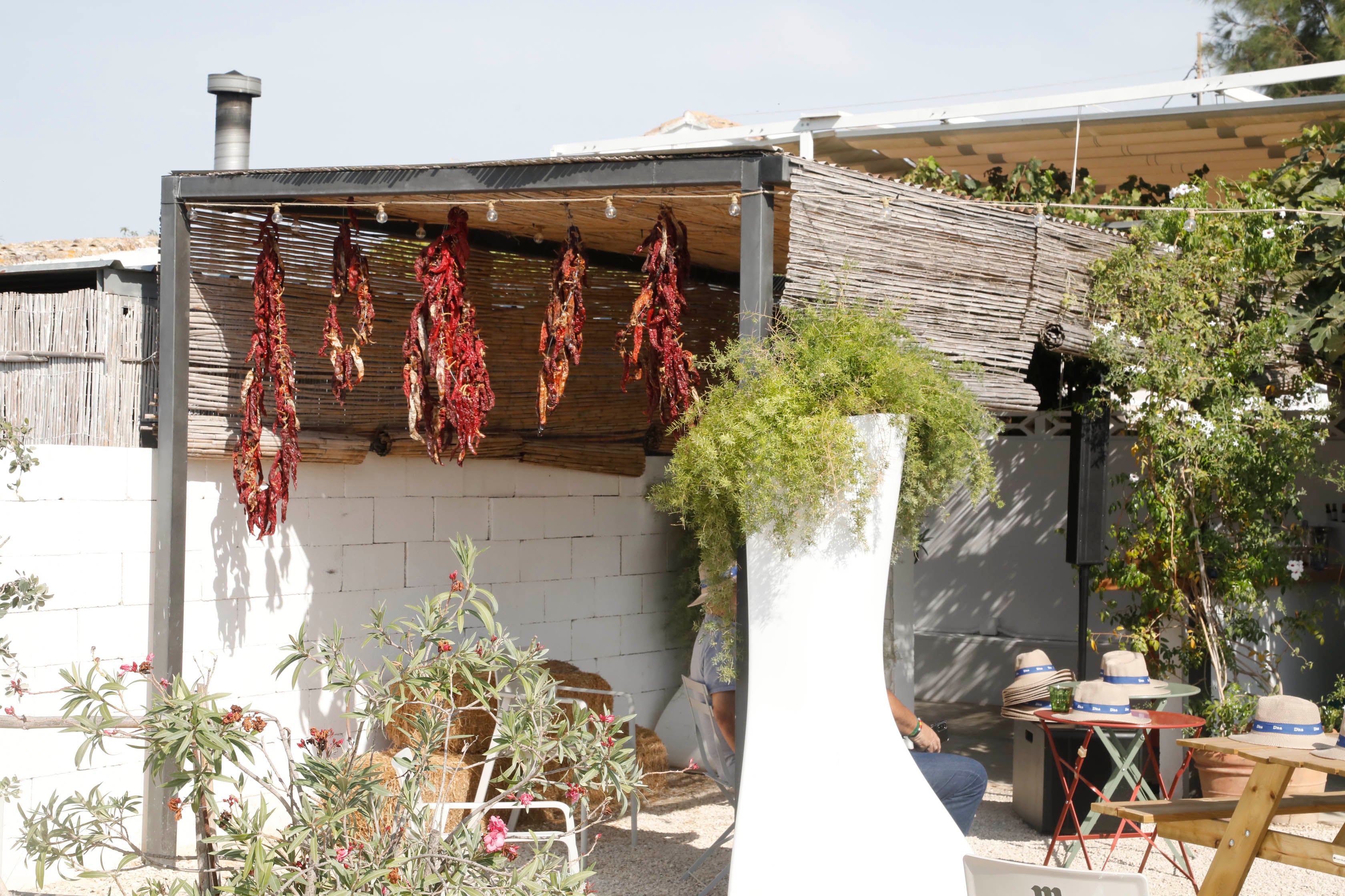 D*na Festival Dénia rinde tributo al producto de la huerta desde la orilla del mar