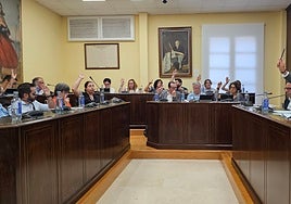 Imagen del pleno celebrado este jueves