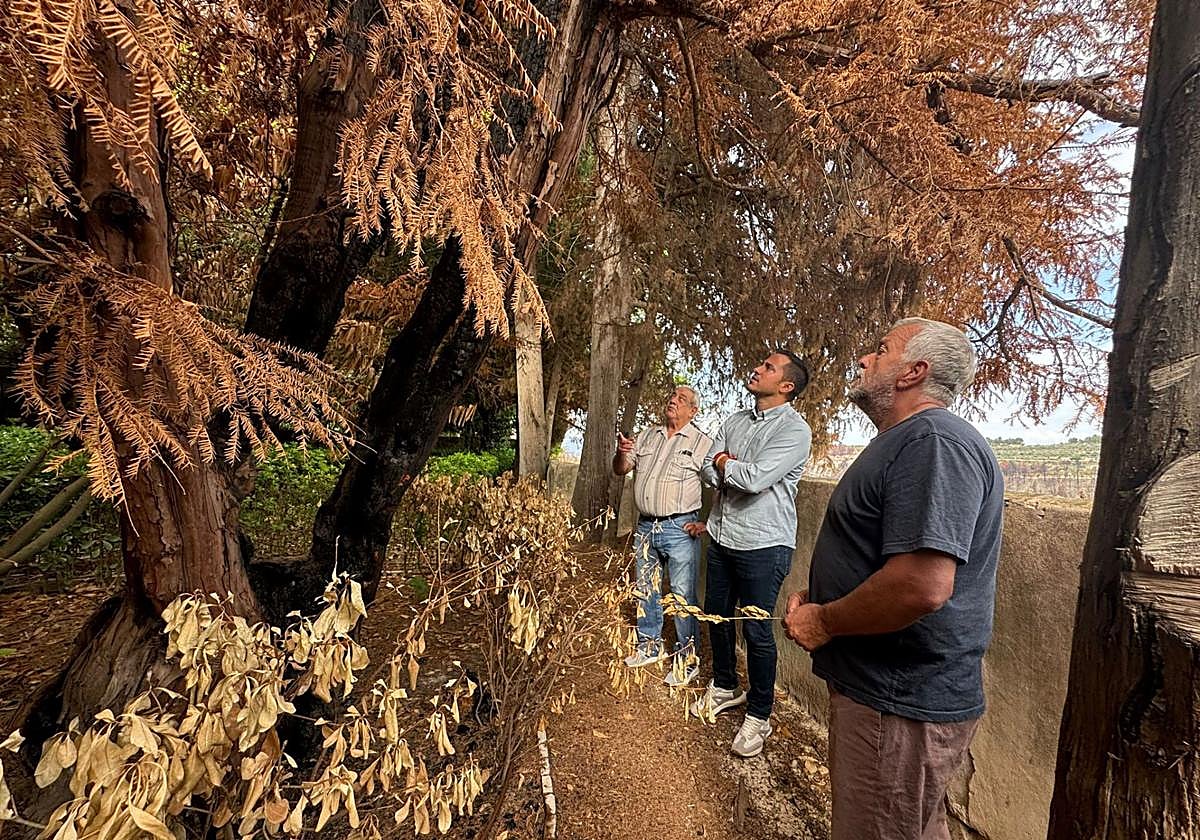 El diputado socialista inspecciona una de las zonas que sufrió el incendio.