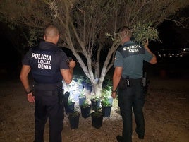 Dos agentes observan la plantación de 'maría' descubierta en una finca en Jesús Pobre.
