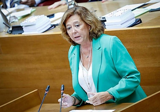 La diputada y portavoz del agua María Gómez en Les Corts.