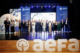 Foto de familia de los premiados en la gala de AEFA.
