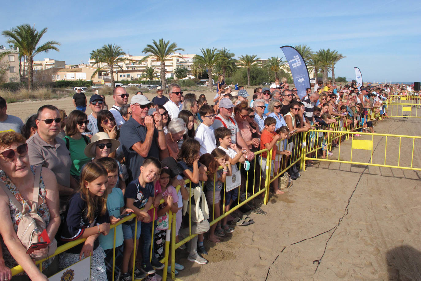 Suelta de tortugas en Dénia