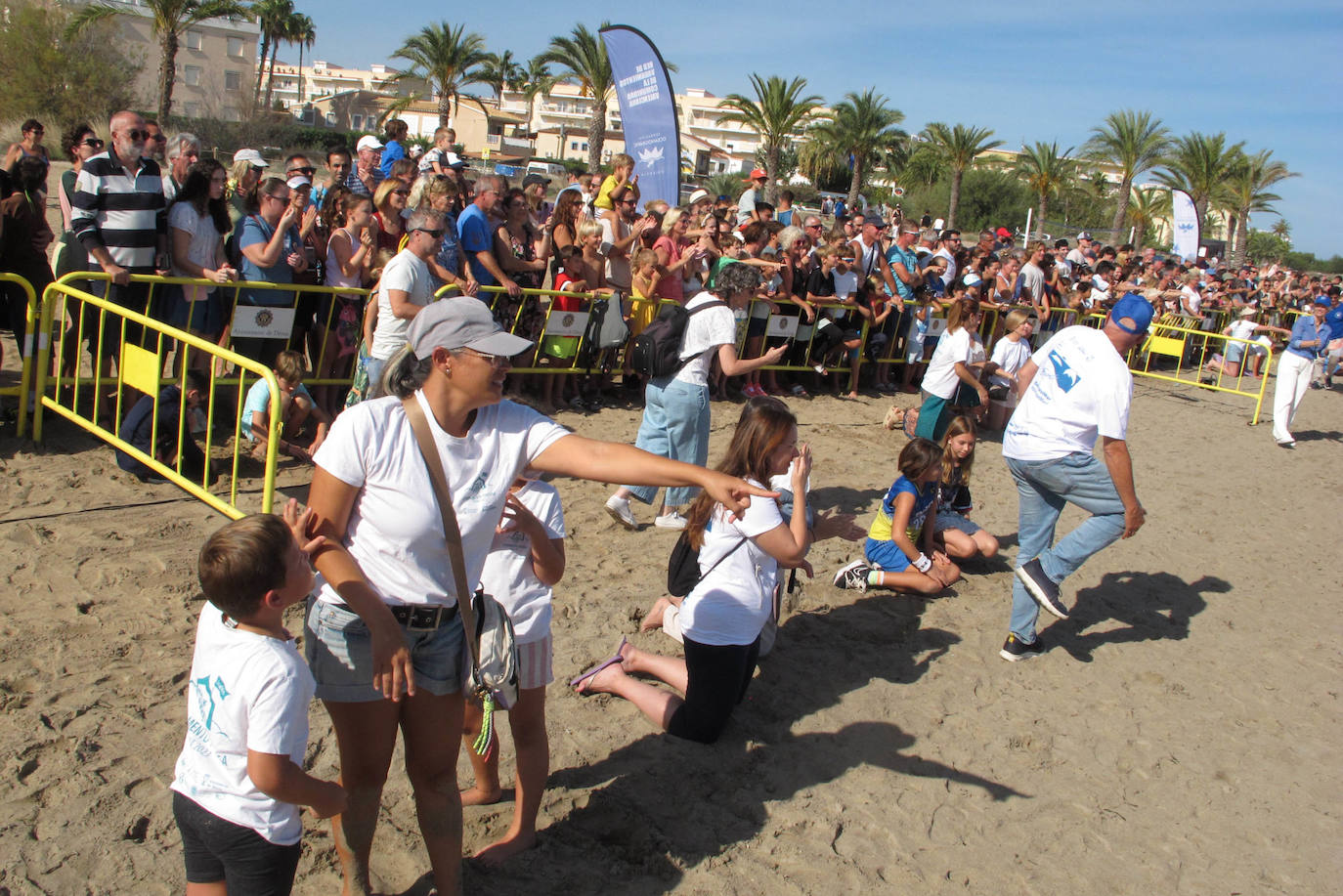 Suelta de tortugas en Dénia