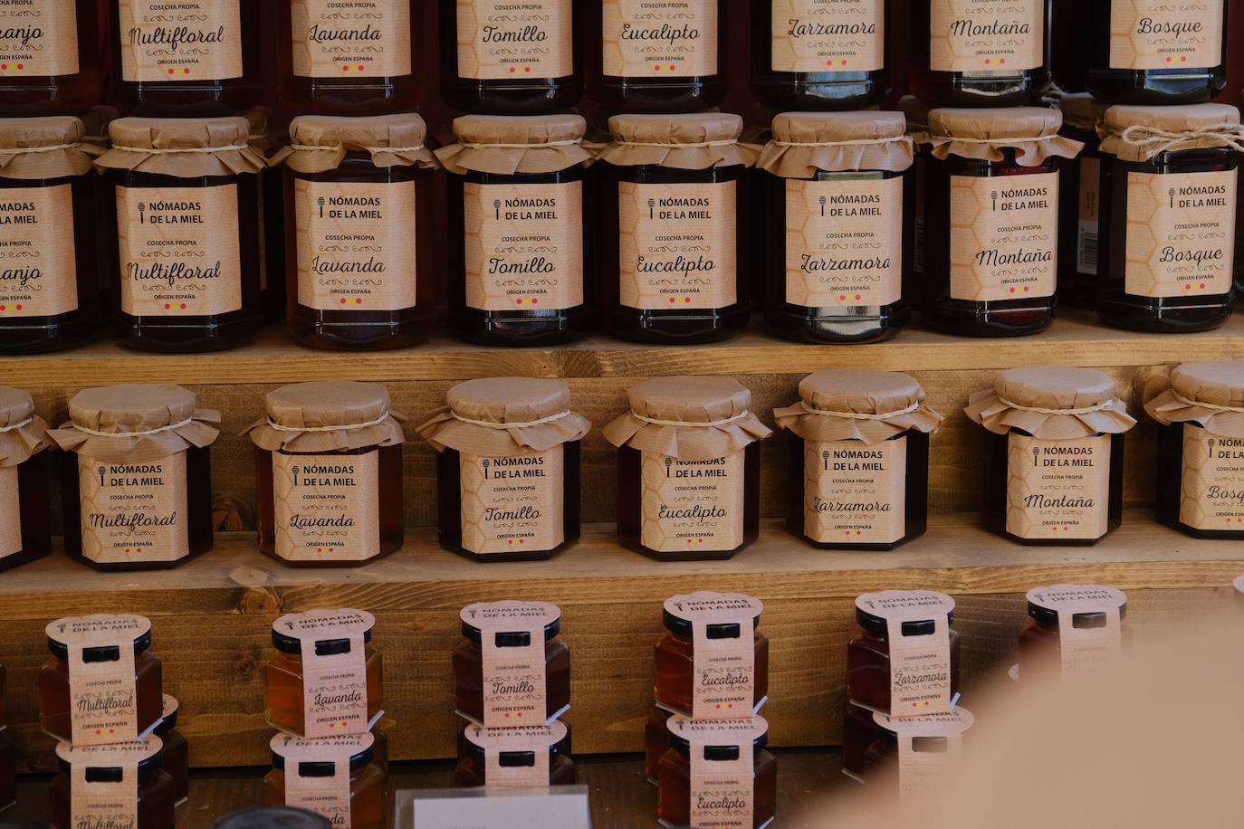 Las calles de Alicante se llenan con un sinfín de actividades