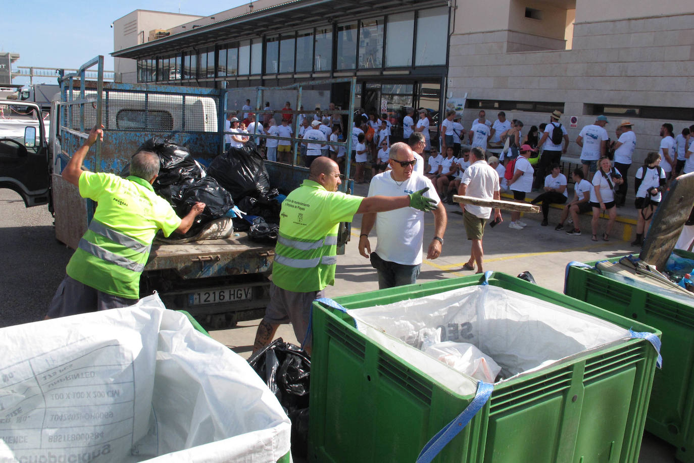 Dénia se vuelca con la limpieza de los fondos marinos