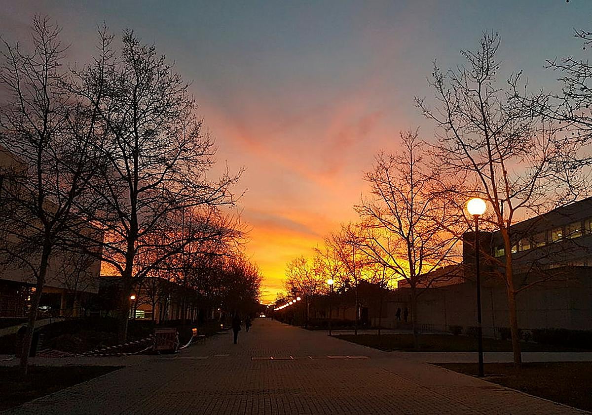 Iluminación nocturna en el campus de la UA.