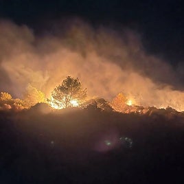 Incendio que ha afectado al parque natural.