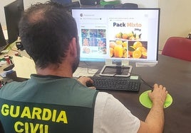 Un agente de la Guardia Civil durante la investigación.