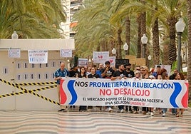 Manifestación del pasado domingo en el tradicional paseo alicantino.