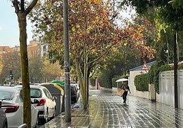 Lluvia en Alicante.