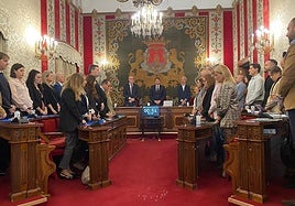 Minuto de silencio en el pleno.