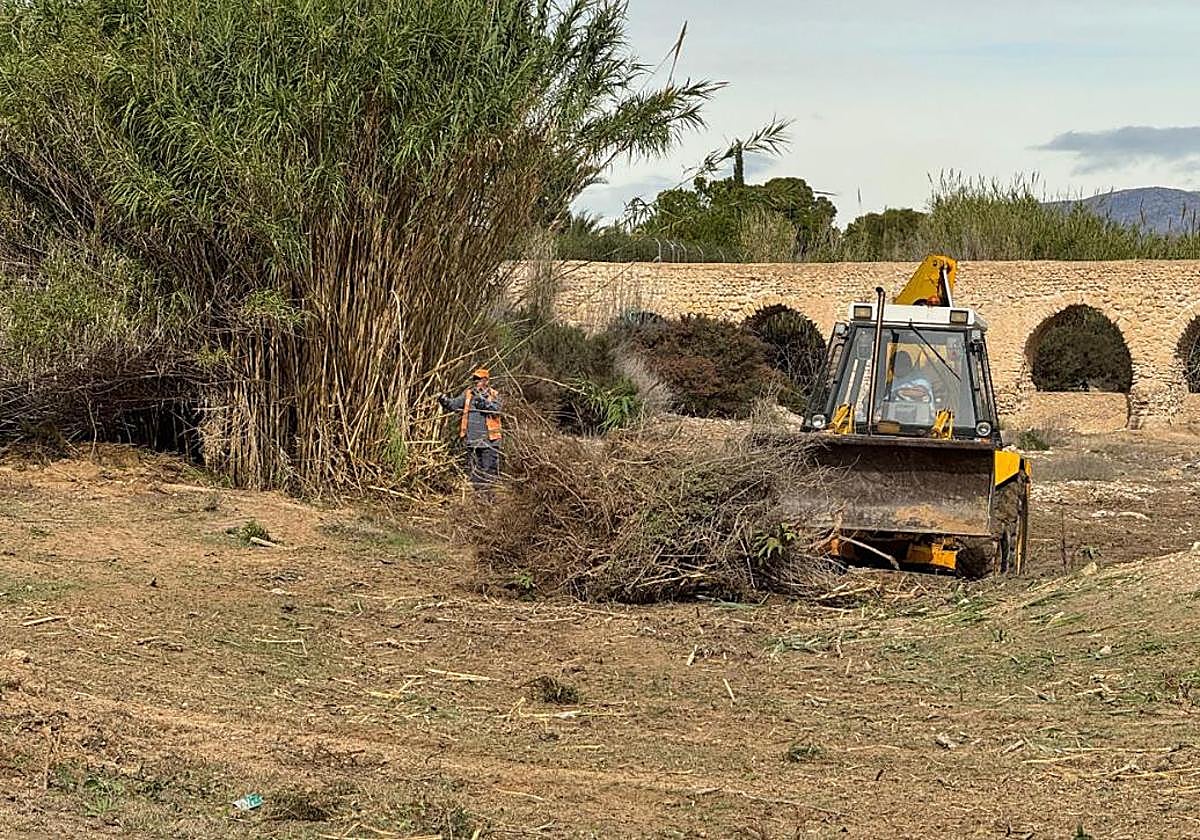 Labores de limpieza del barranco.