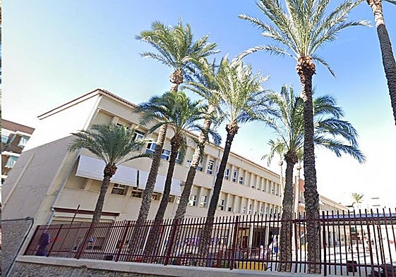 Palmeras en un colegio de Elche.