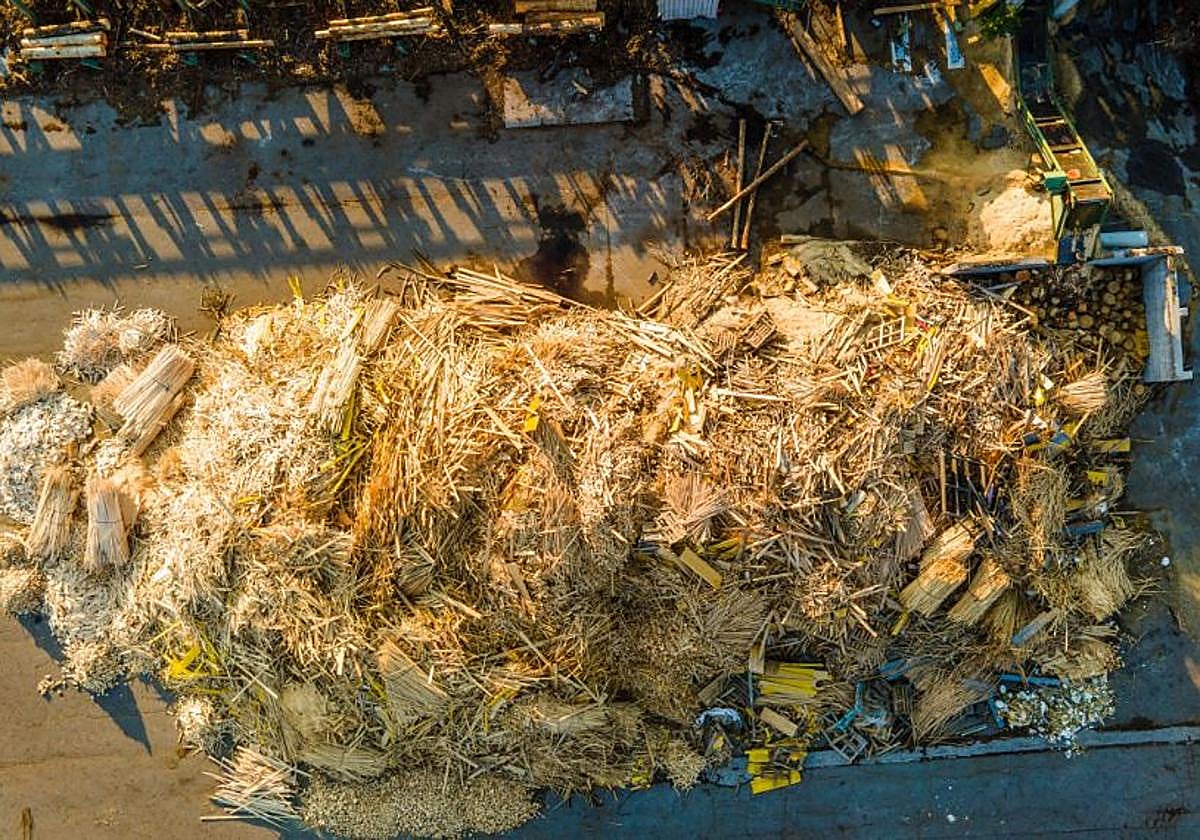 Biomass potentially transformable into fertilizer with Greene Enterprise's project.