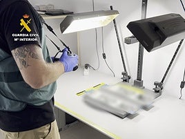 Matrículas falsas decomisadas al detenido.