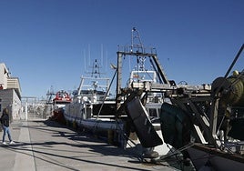Barcos pesqueros en el puerto de Dénia.