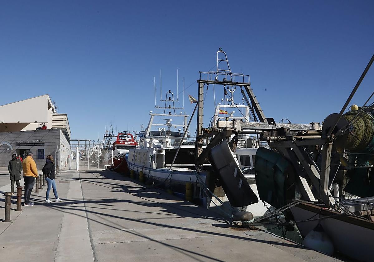 Barcos pesqueros en el puerto de Dénia.