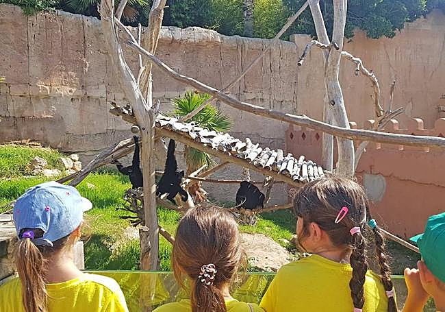 Visitantes en Terra Natura Benidorm.