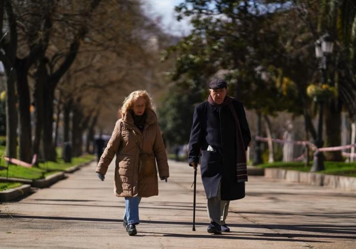 Una pareja, caminando en un parque.