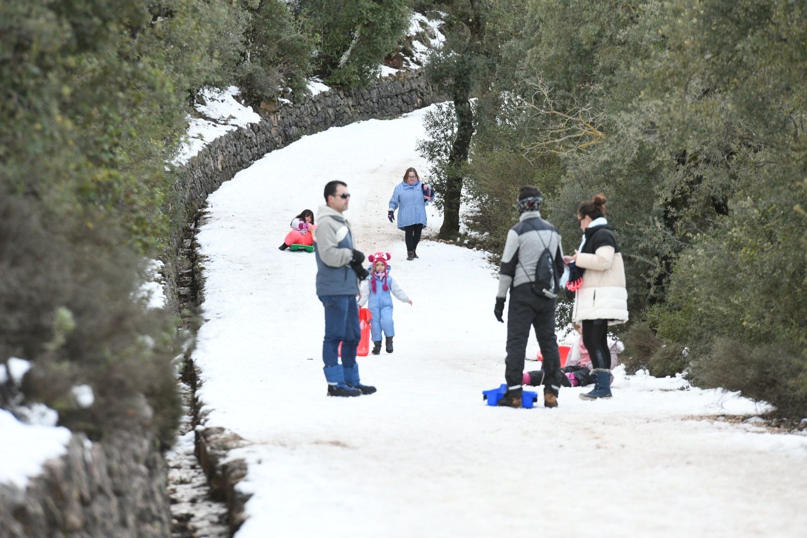 Los alicantinos disfrutan de un día en la nieve