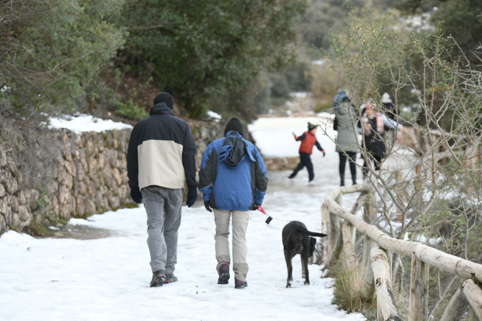 Los alicantinos disfrutan de un día en la nieve