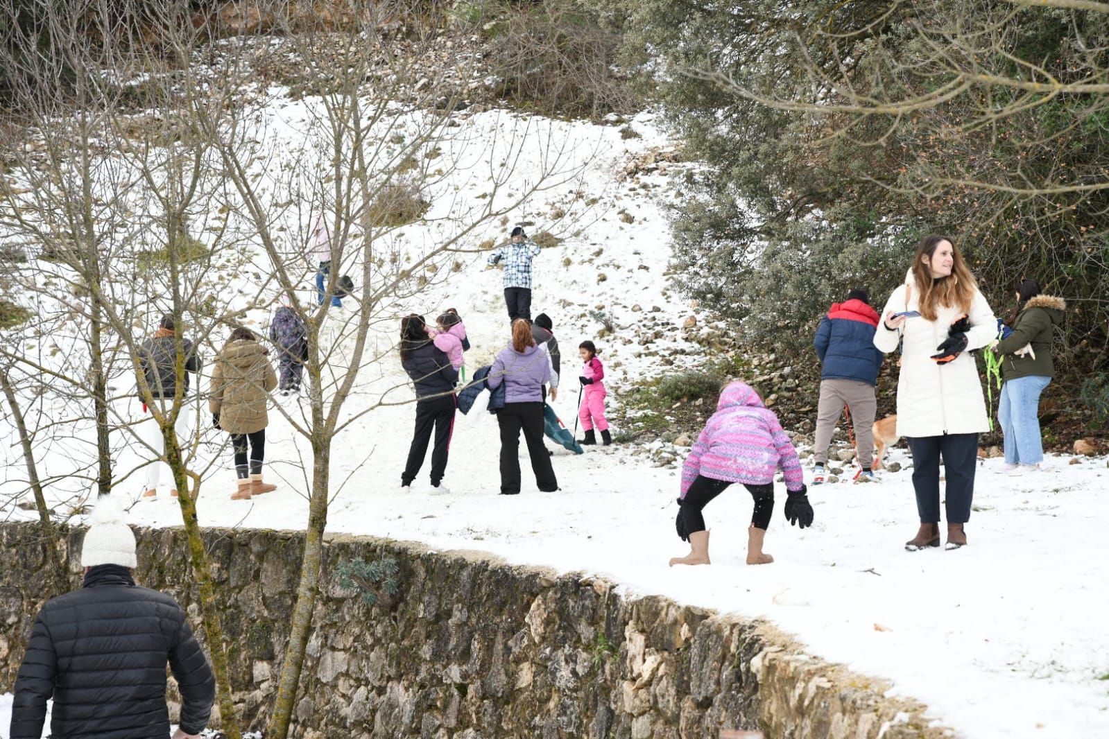 Las mejores imágenes que deja la nieve en la provincia