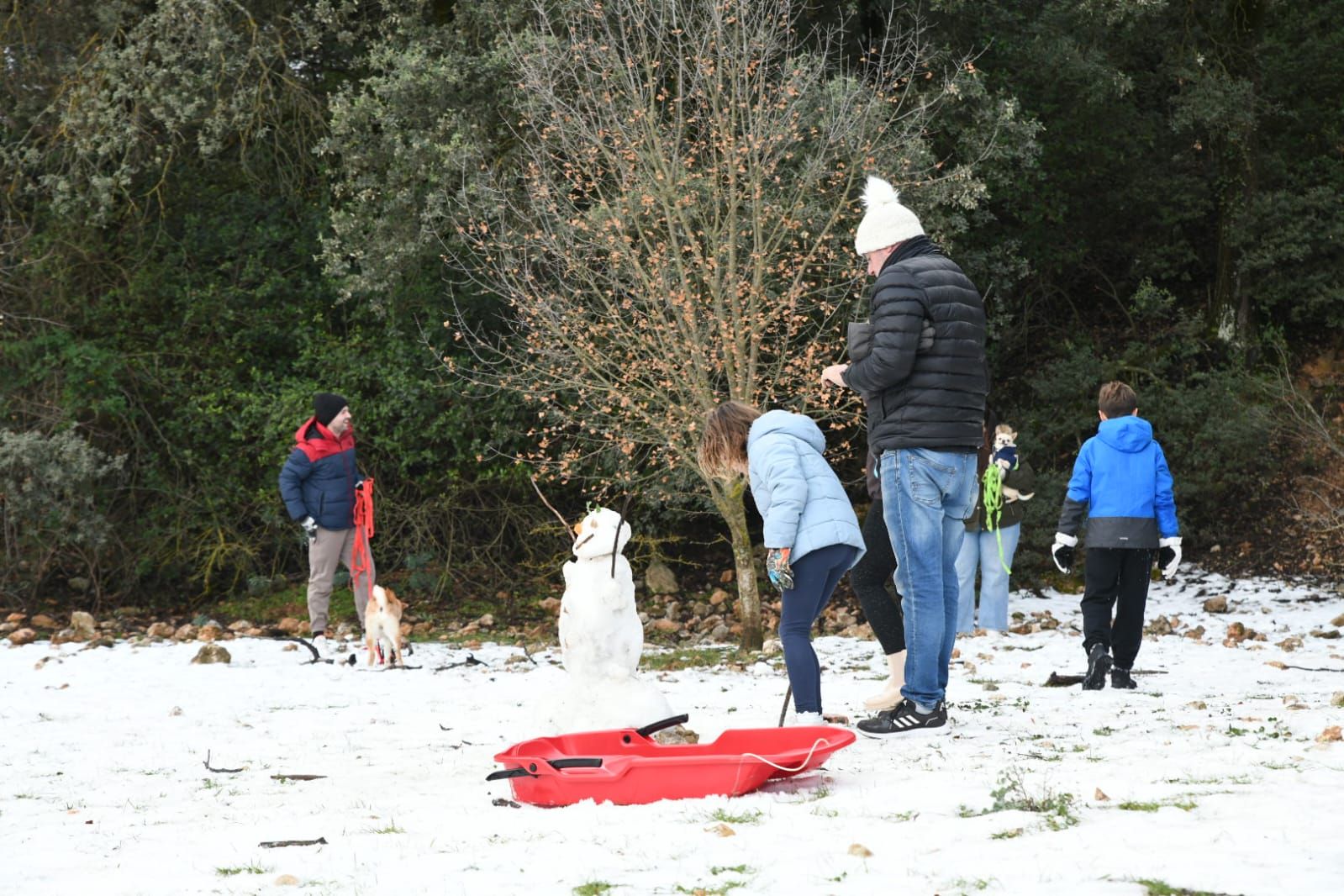 Las mejores imágenes que deja la nieve en la provincia