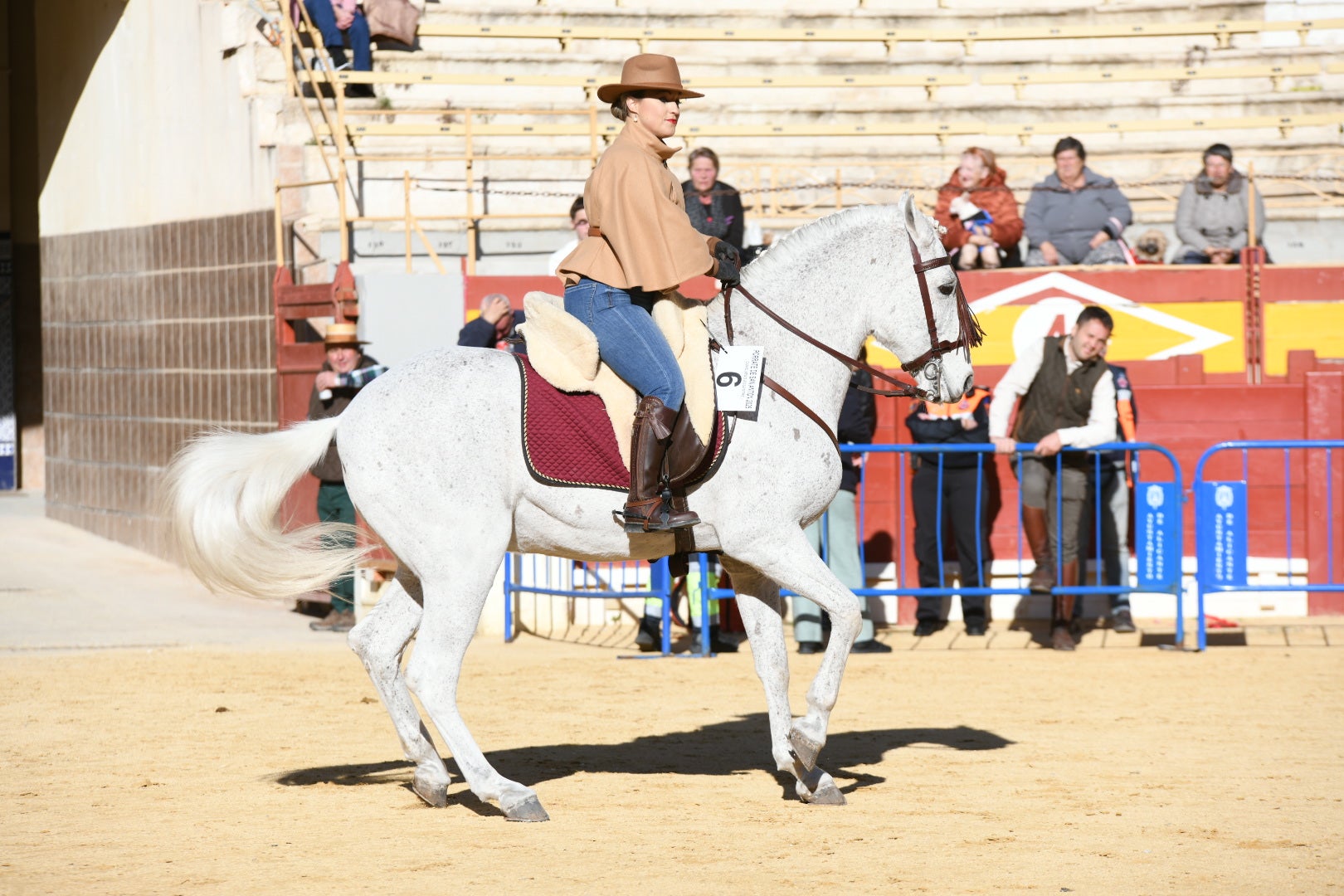 Bendición de animales en Alicante por San Antón, busca las fotos de tu mascota