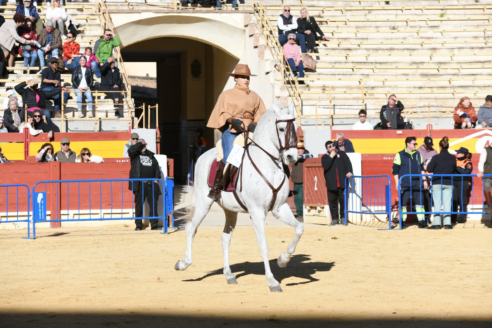 Bendición de animales en Alicante por San Antón, busca las fotos de tu mascota