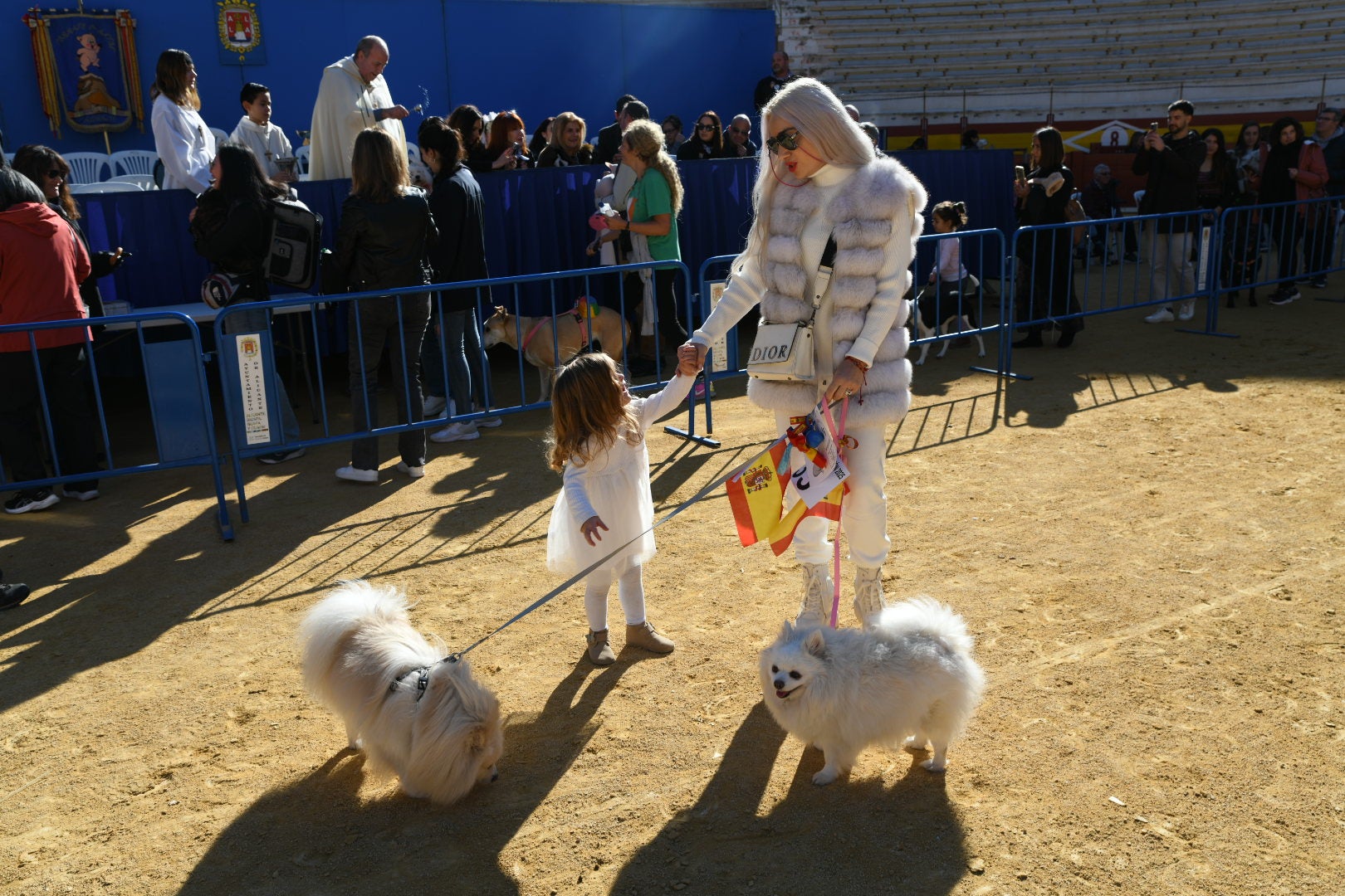 Bendición de animales en Alicante por San Antón, busca las fotos de tu mascota