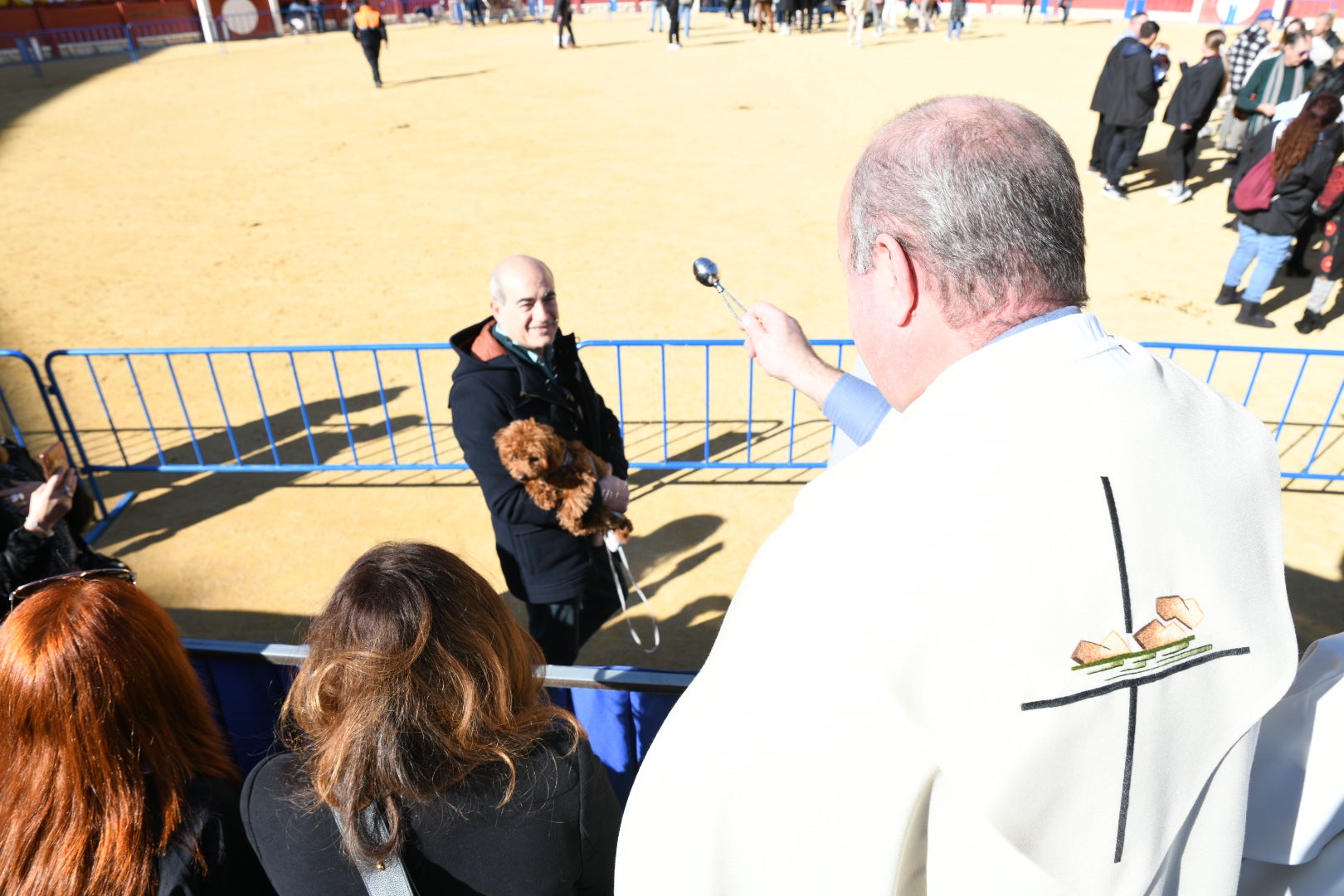 Bendición de animales en Alicante por San Antón, busca las fotos de tu mascota