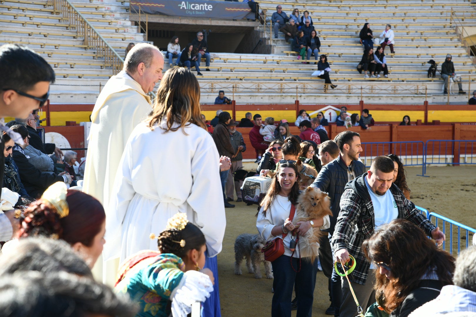 Bendición de animales en Alicante por San Antón, busca las fotos de tu mascota