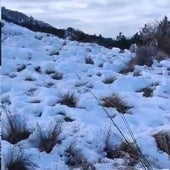 Snow remains in the mountains of Alicante as the storm enters the province