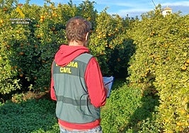 Un agente de la Guardia Civil de Calp en el lugar de la actuación.