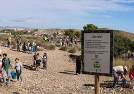 Jornada de reforestación en Orgegia.