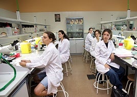 Fotografía de una clase práctica del grado de Medicina en la UA.