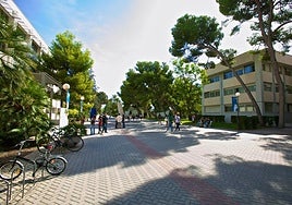 Facultad de Filosofía y Letras de la Universidad de Alicante.