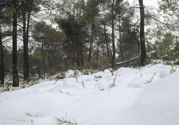 La nieve vuelve a las cimas de la provincia de Alicante