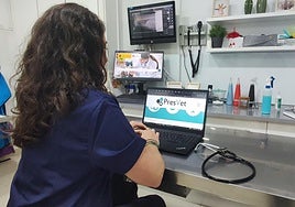 Una veterinaria clínica accediendo a la plataforma PRESVET para comunicar telemáticamente prescripciones de antibióticos.