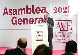 El presidente de AVE, Vicente Boluda, en el discurso realizado en la asamblea.