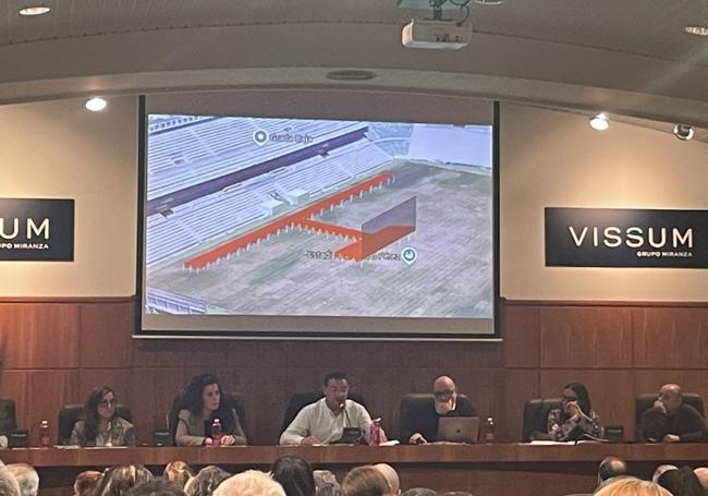 Design of the candidate runway for bellea del foc.