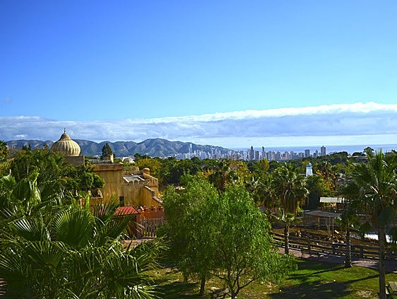 Un año de aventuras en Terra Natura Benidorm