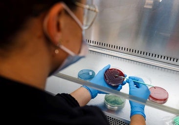 Isabial renueva su acreditación como Instituto de Investigación Sanitaria por cinco años más