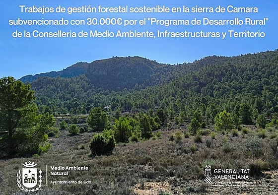 Elda impulsa varias iniciativas para la gestión sostenible y la mejora de la masa forestal de Camara