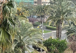 La lluvia descarga sobre Alicante.